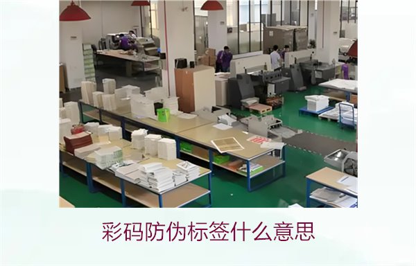 彩碼防偽標(biāo)簽什么意思？解析彩碼標(biāo)簽的防偽原理與應(yīng)用(圖2)